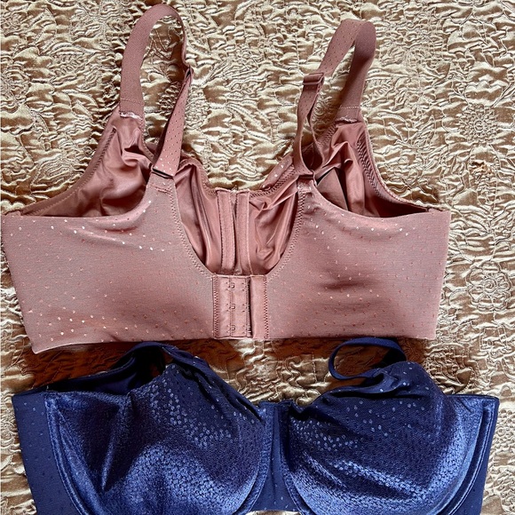 Copper color and Blue Bra wacoal Intimates & Sleepwear Collection - Picture 2 of 3